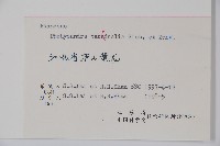 頂蕊三角咪藏品圖，第2張