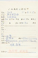 胡頹子藏品圖，第2張