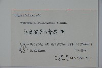 莢迷藏品圖，第2張