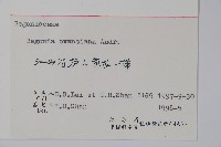 秋海棠藏品圖，第2張