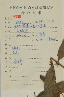 堅葉紫菀藏品圖，第2張