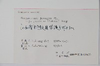 金錢豹藏品圖，第2張