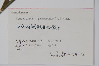 爵床、六角英藏品圖，第2張