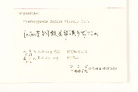 鵝仔草藏品圖，第3張