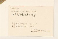 登錄號:S058332藏品圖，第3張