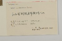 山白蘭藏品圖，第3張