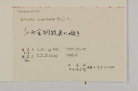 鱧腸藏品圖，第3張