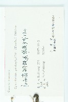 絞股藍藏品圖，第3張