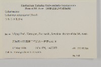 南蛇藤藏品圖，第2張