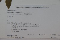 登錄號:S058375藏品圖，第2張