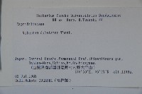 莢迷藏品圖，第2張