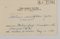 登錄號:S058384藏品圖，第2張