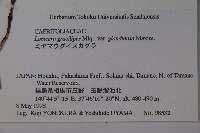 登錄號:S058408藏品圖，第2張