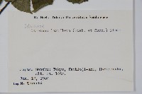 登錄號:S058412藏品圖，第2張