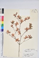 登錄號:S058415藏品圖，第1張