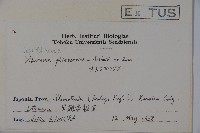 基隆莢迷藏品圖，第2張