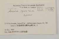 牡蒿藏品圖，第2張