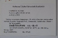 登錄號:S058438藏品圖，第2張