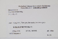 野鳳仙花藏品圖，第2張