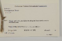 常山藏品圖，第2張