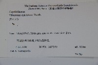 莢迷藏品圖，第2張