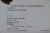 莢迷藏品圖，第2張