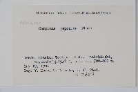 登錄號:S058539藏品圖，第2張