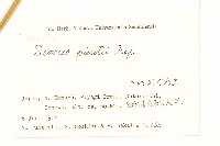 河濱千里光藏品圖，第2張