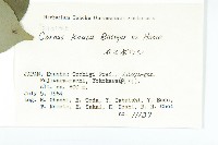 四照花藏品圖，第2張