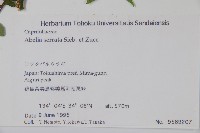 登錄號:S058601藏品圖，第2張