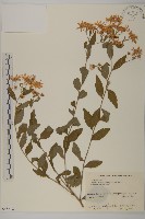 登錄號:S058612藏品圖，第1張