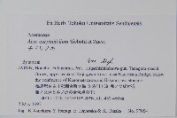 鵝耳櫪槭藏品圖，第2張