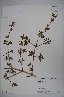 登錄號:S058647藏品圖，第1張