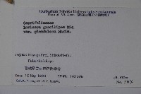 登錄號:S058647藏品圖，第2張