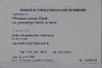 登錄號:S058653藏品圖，第2張