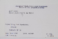 竹節參藏品圖，第2張