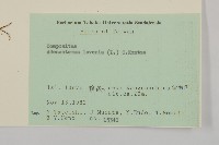 下田菊藏品圖，第2張