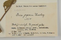 常山藏品圖，第2張