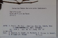 莢迷藏品圖，第2張