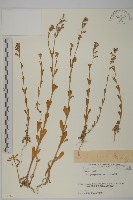 登錄號:S058744藏品圖，第1張