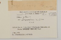 登錄號:S058744藏品圖，第2張