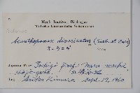 兩歧五加藏品圖，第2張