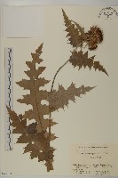 登錄號:S058753藏品圖，第1張