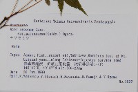 登錄號:S058759藏品圖，第2張