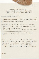 登錄號:S058761藏品圖，第2張