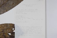 登錄號:S058765藏品圖，第2張