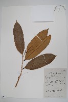 登錄號:S058772藏品圖，第1張