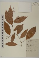 登錄號:S058778藏品圖，第1張