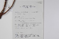 登錄號:S058780藏品圖，第2張