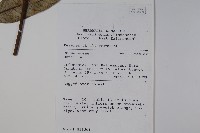 登錄號:S058785藏品圖，第2張